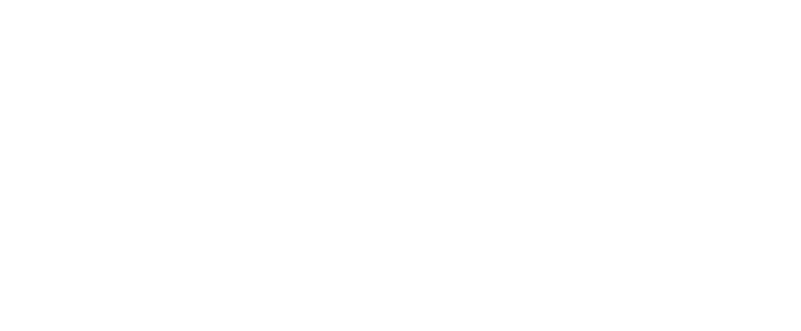 Bliss Logo-white