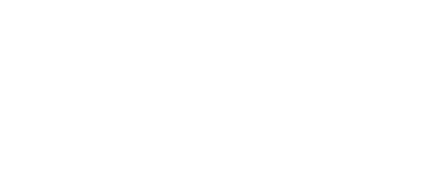 bliss logo (1) (1)